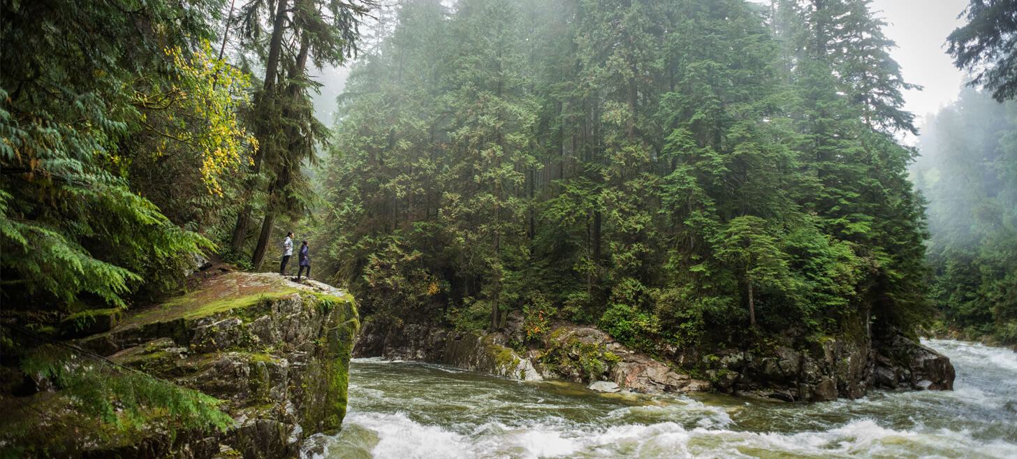 Hikers stand on a rocky cliff edge above rushing water, surrounded by forest on a foggy day.