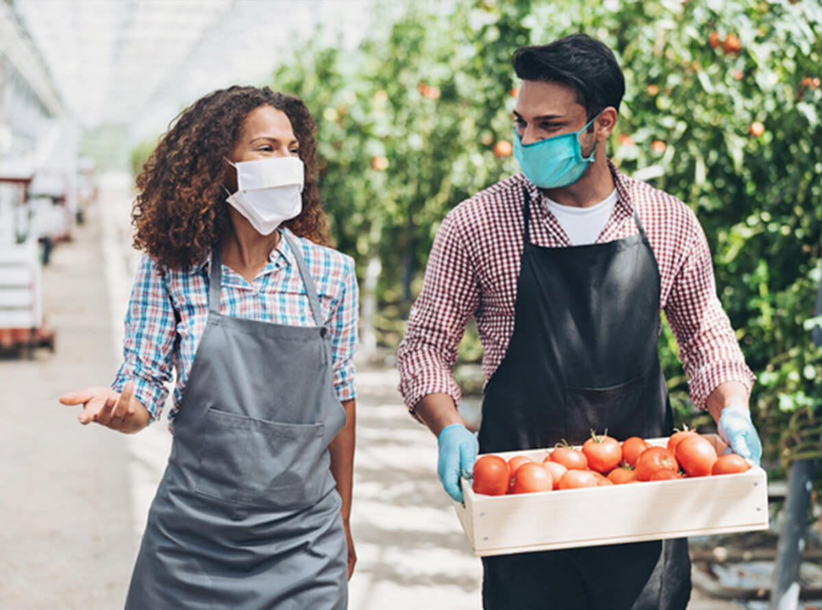 Two people of colour wear masks and aprons while the person on the right carries a crate of tomatoes.