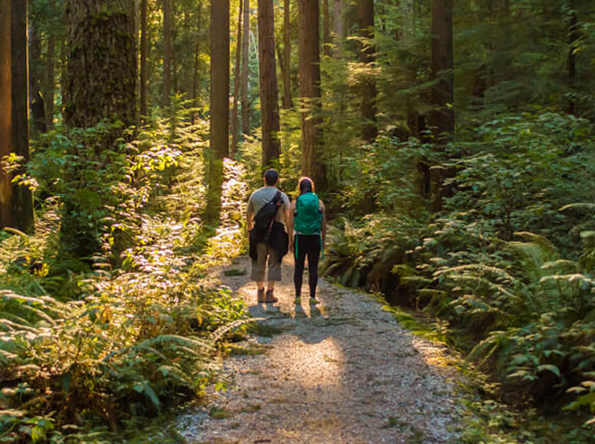 The backs of two people seen from afar on a trail in the forest with sunlight breaking through the trees onto their path.