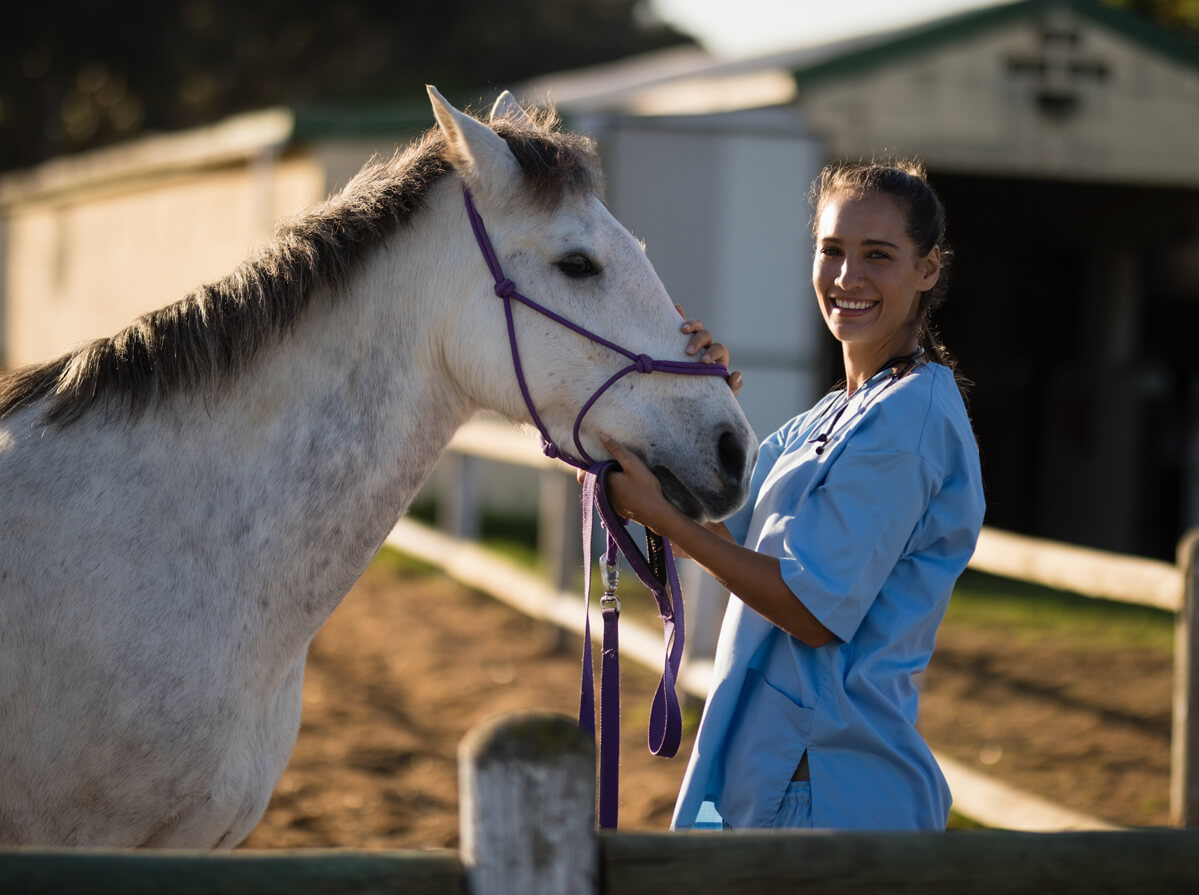 A woman in scrubs holds a horse's muzzle in a field while smiling at the camera.